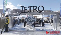 f1历史上最丑的赛车f1不可能的故事游泳比赛宣传公众号文章游泳战报
